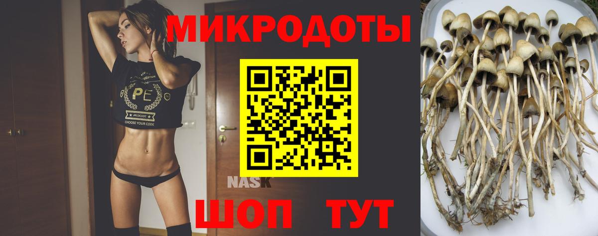 Псилоцибиновые грибы прущие грибы Десногорск